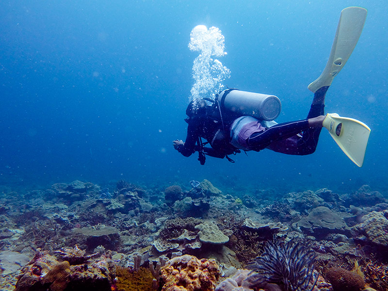 Discover Scuba Diving