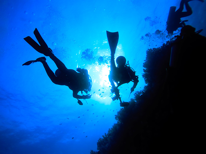 Scuba Diving Adventure