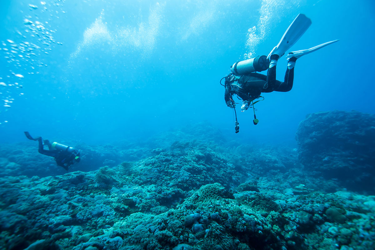 Open Water Diving Course