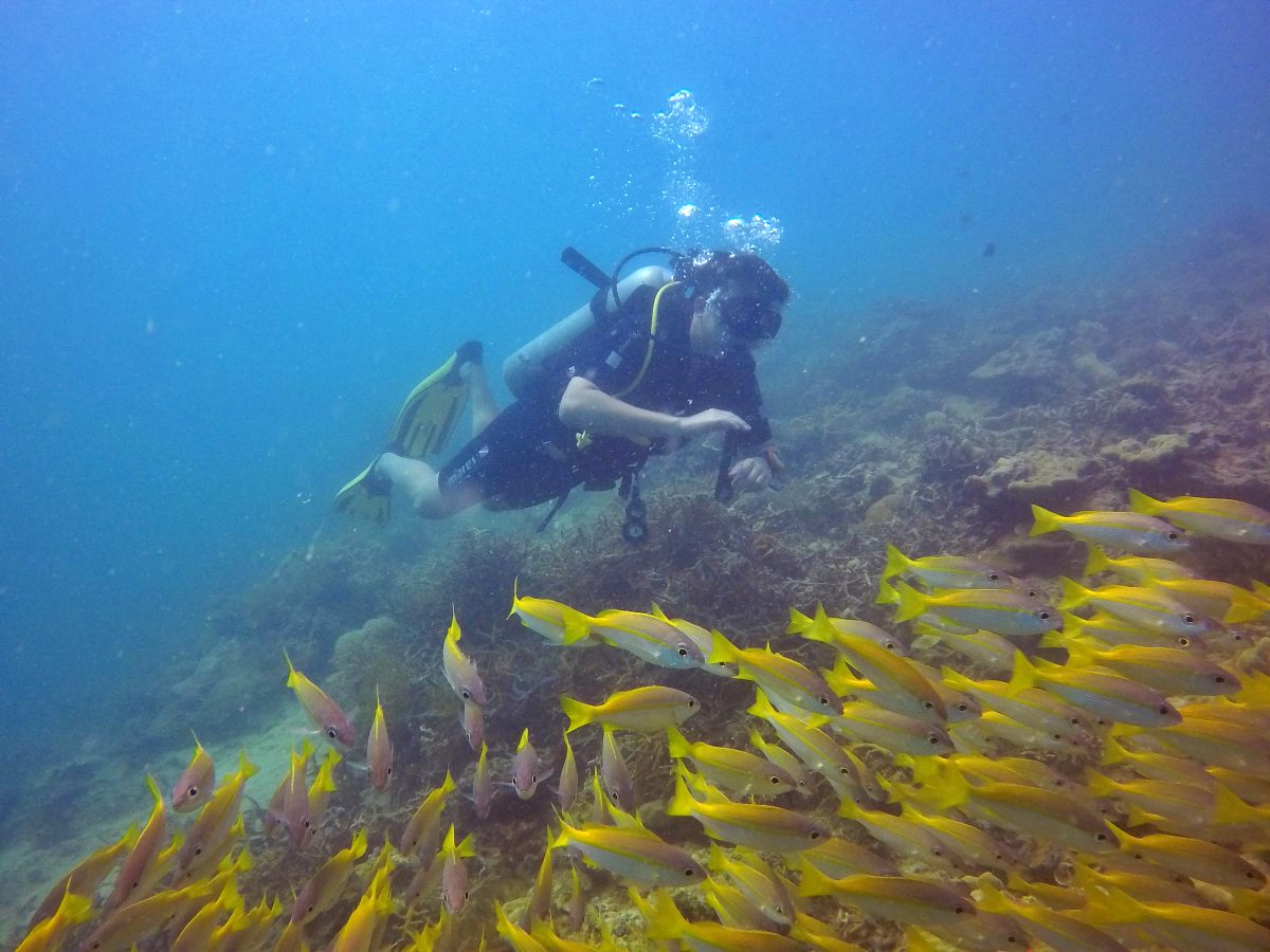 Advanced Open Water Diving Course