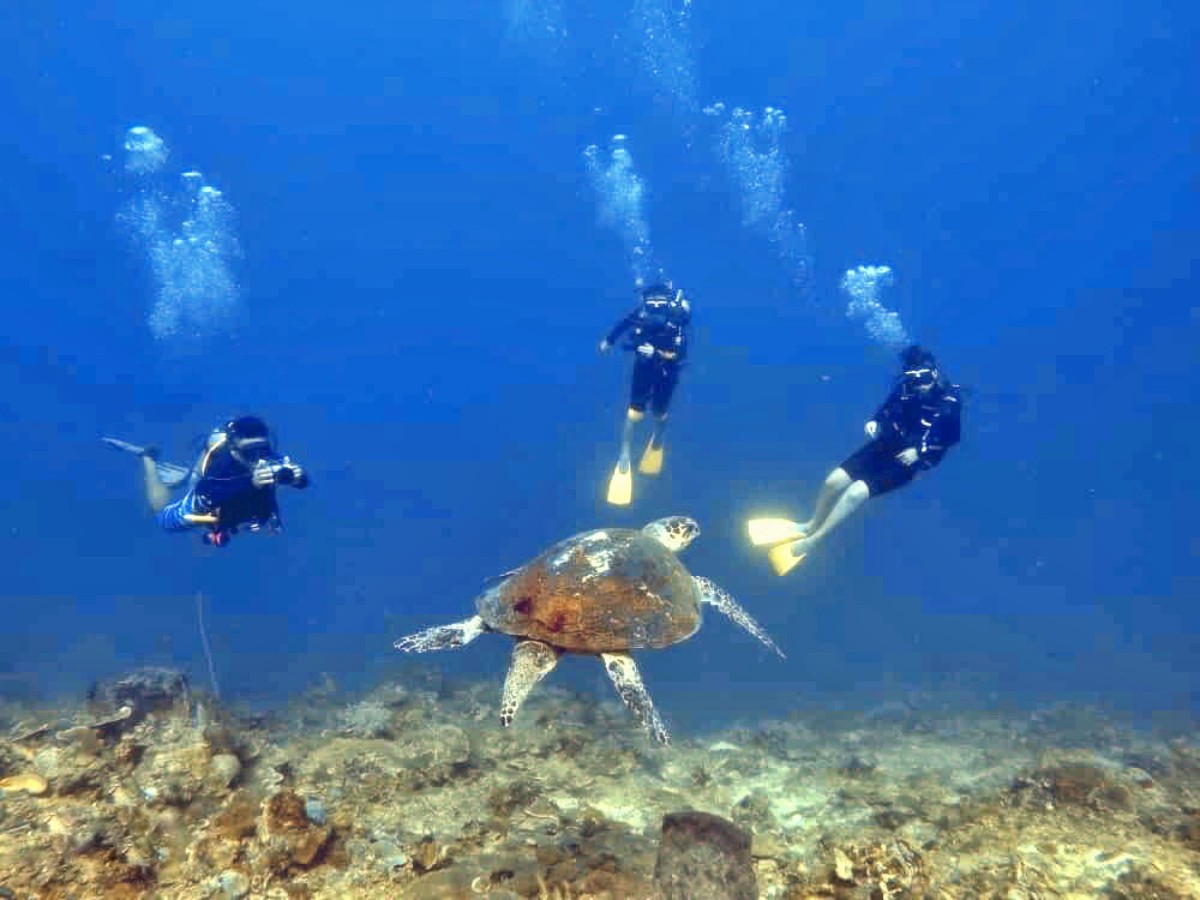 Open Water Diving Course