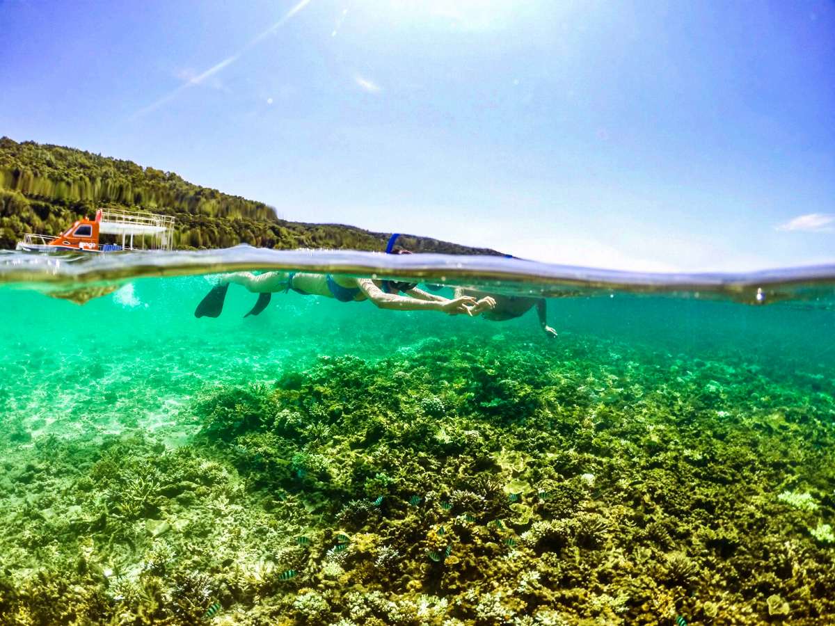 Fun Boat Snorkeling & Island Visit