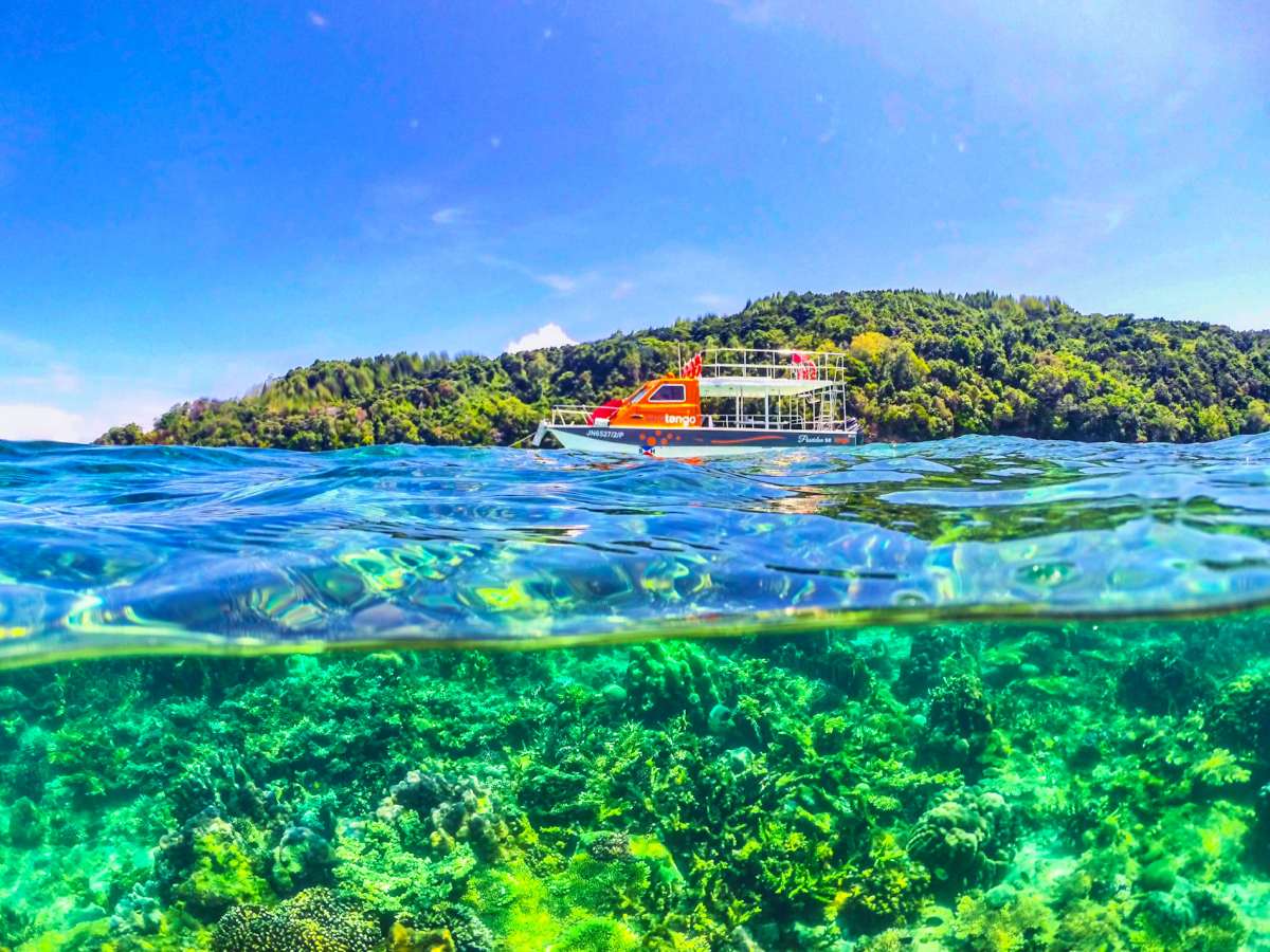 Fun Boat Snorkeling & Island Visit