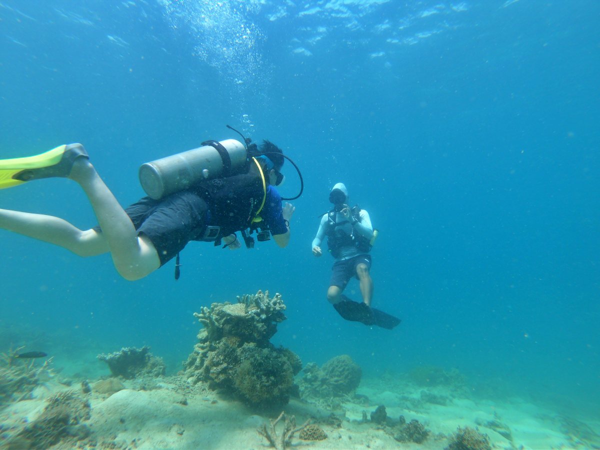 Discover Scuba Diving