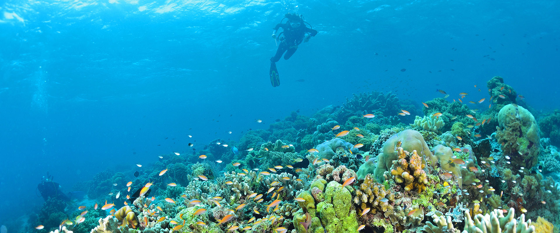 Twin Island Hopping